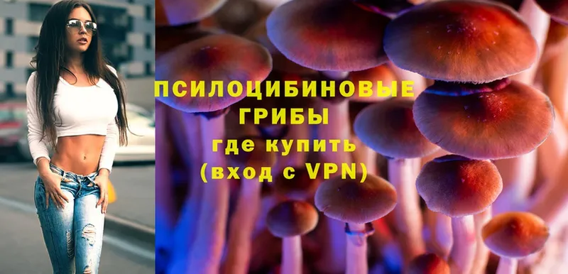 Псилоцибиновые грибы Magic Shrooms  Воскресенск 